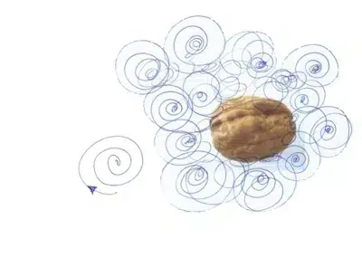 Noix